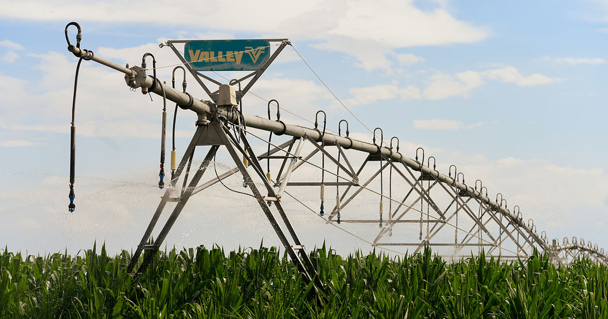 Irrigation pivot watering a corn field at sunset