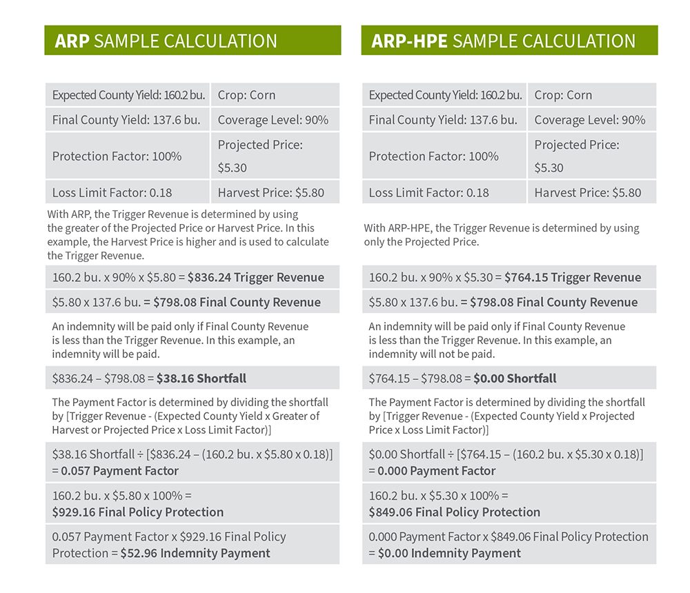 ARP-Sample-Calculations