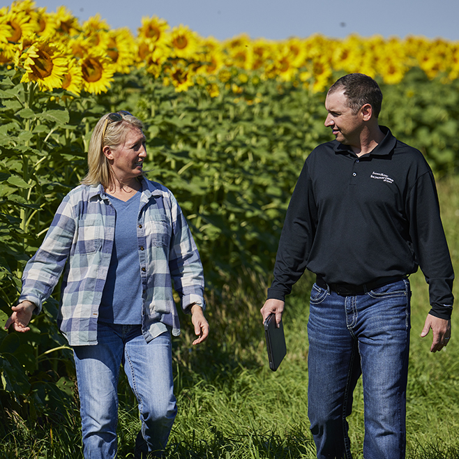 Bawek_female farmer_adjuster_sunflowers_326