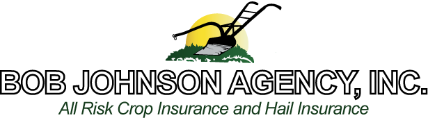 Bob Johnson Agency, Inc.
