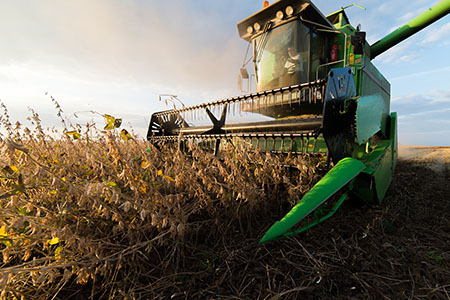 combine bean harvest Feature