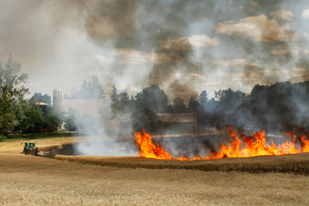 crop_fire crop_fire