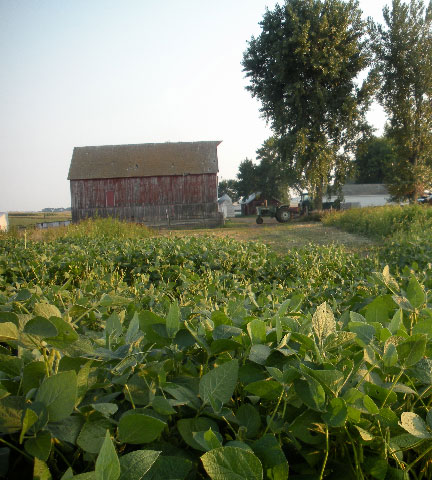 farm farm