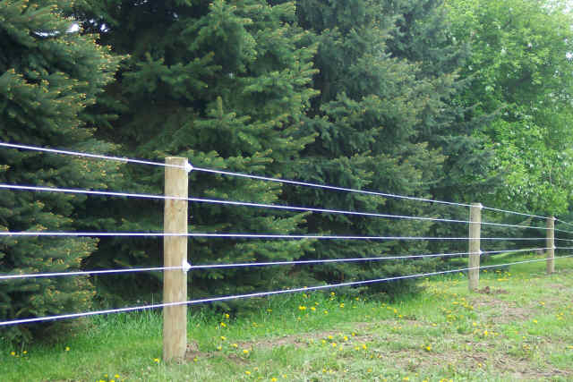 fence fence