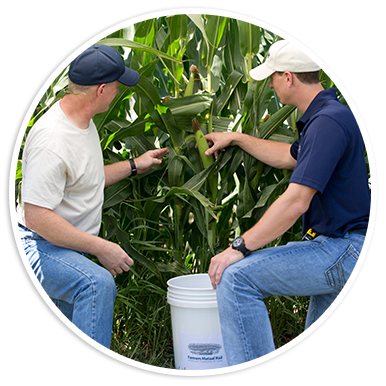 Field Careers Field Careers