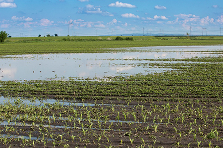 USDA Using Flexibility to Assist Farmers, Ranchers in Flooded Areas