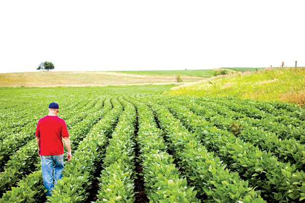limitedresourcefarmer limitedresourcefarmer