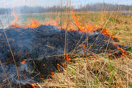 FMH Releases New Pasture Fire Product for 2020