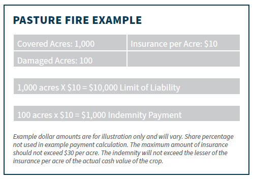 pasturefirecalc