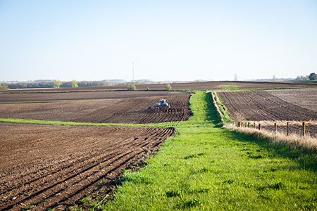 planter_field_feature