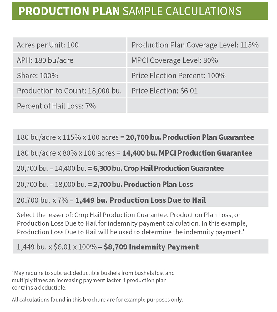 Production-Plan-Sample-Calc