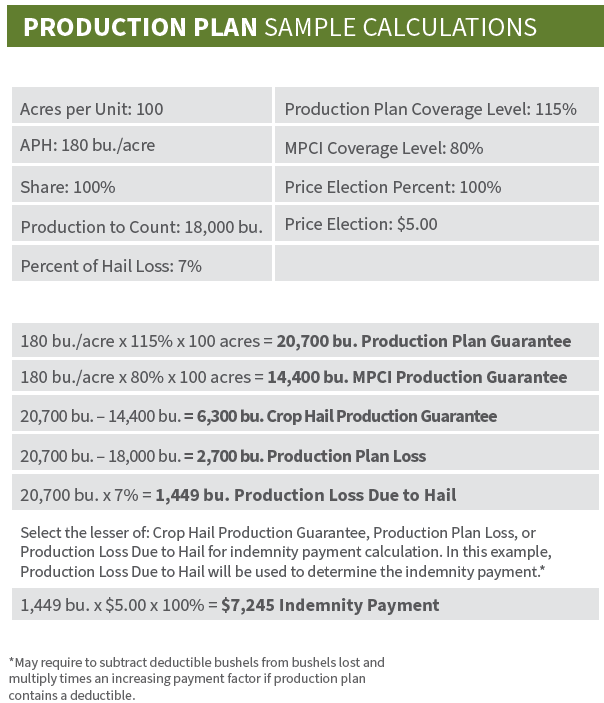 ProductionPlanSampleCalcs2023