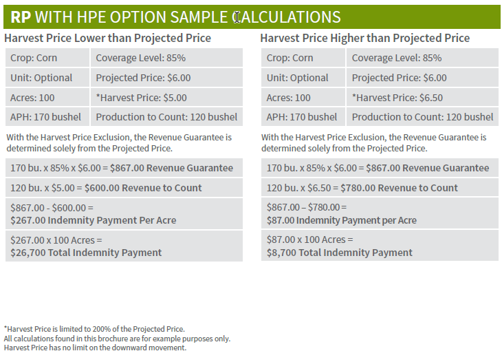 RPHPE_Sample2023